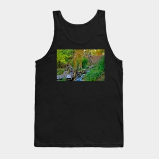 Santa Fe Sculpture Garden Study 3 Tank Top